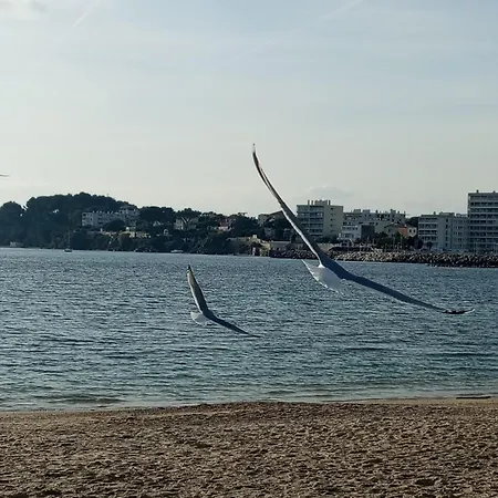 아파트 Lamalgue *