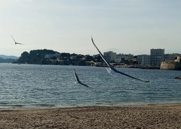 아파트 Lamalgue *